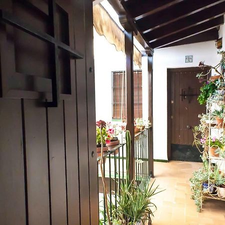 Corral De La O Triana Apartment إشبيلية المظهر الخارجي الصورة